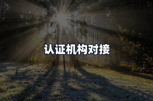 认证机构对接